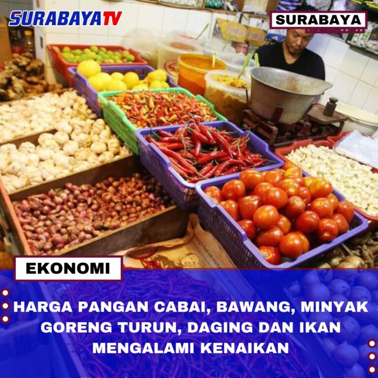 HARGA PANGAN CABAI, BAWANG, MINYAK GORENG TURUN, DAGING DAN IKAN MENGALAMI KENAIKAN