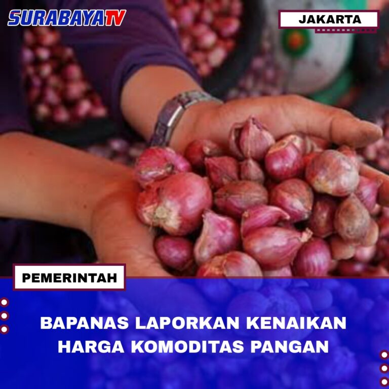 BAPANAS LAPORKAN KENAIKAN HARGA KOMODITAS PANGAN