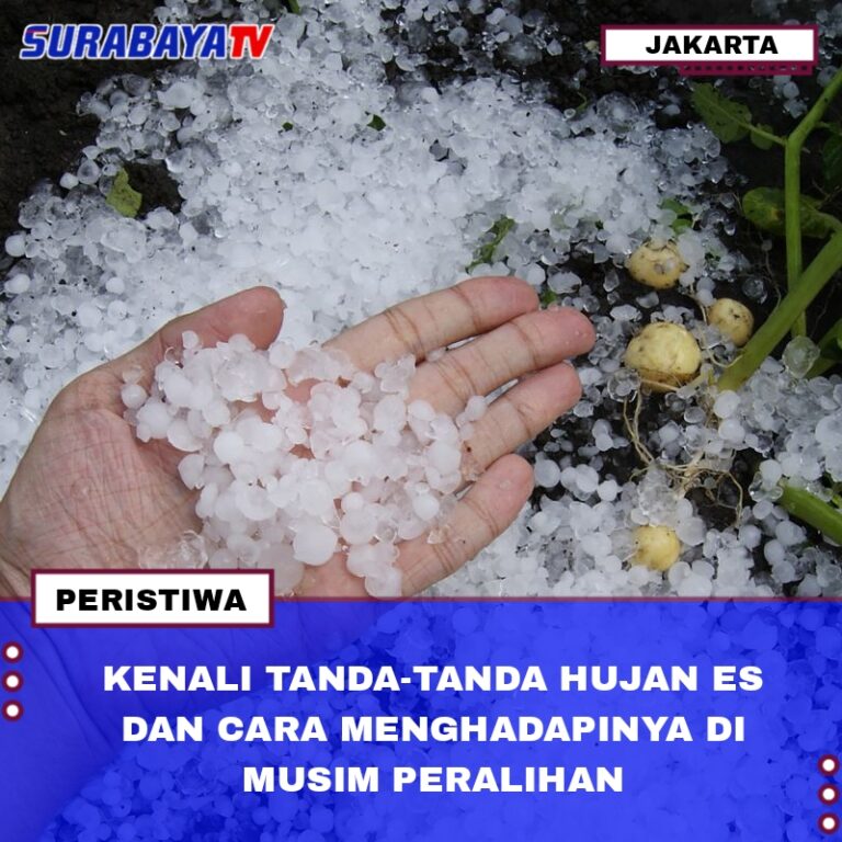 KENALI TANDA-TANDA HUJAN ES DAN CARA MENGHADAPINYA DI MUSIM PERALIHAN