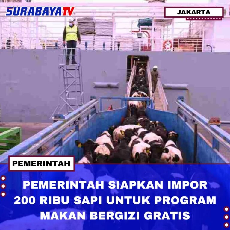 PEMERINTAH SIAPKAN IMPOR 200 RIBU SAPI UNTUK PROGRAM MAKAN GRATIS